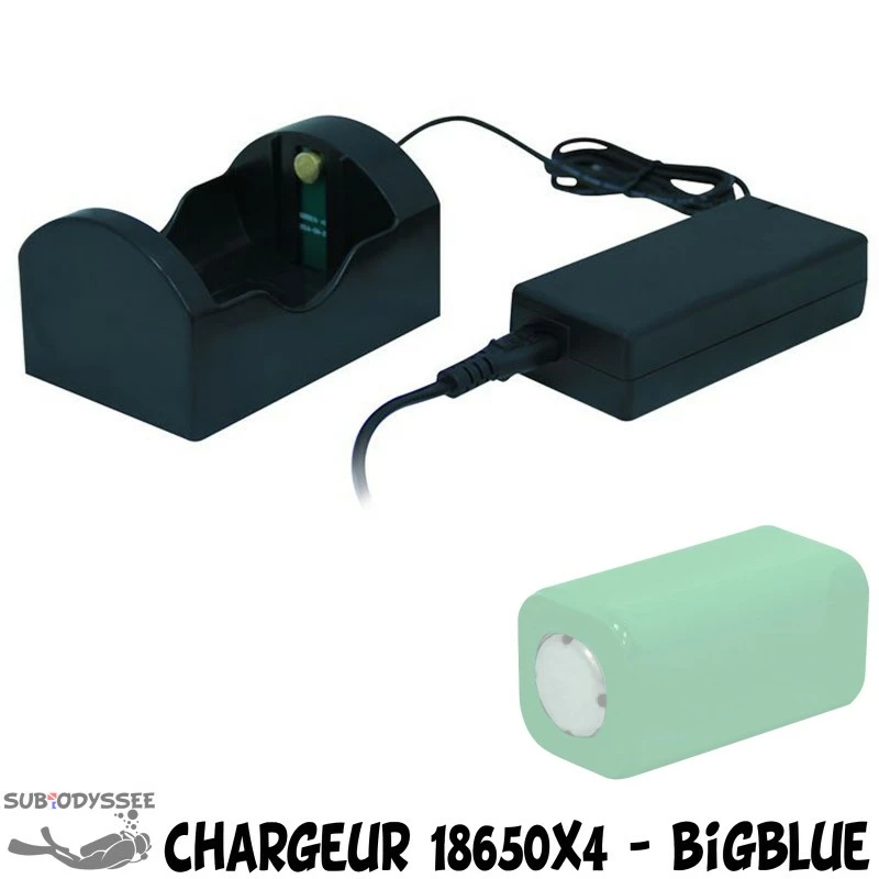 Chargeur Pour Batteries 18650x4 Rechargeables Li-Ion - Big Blue