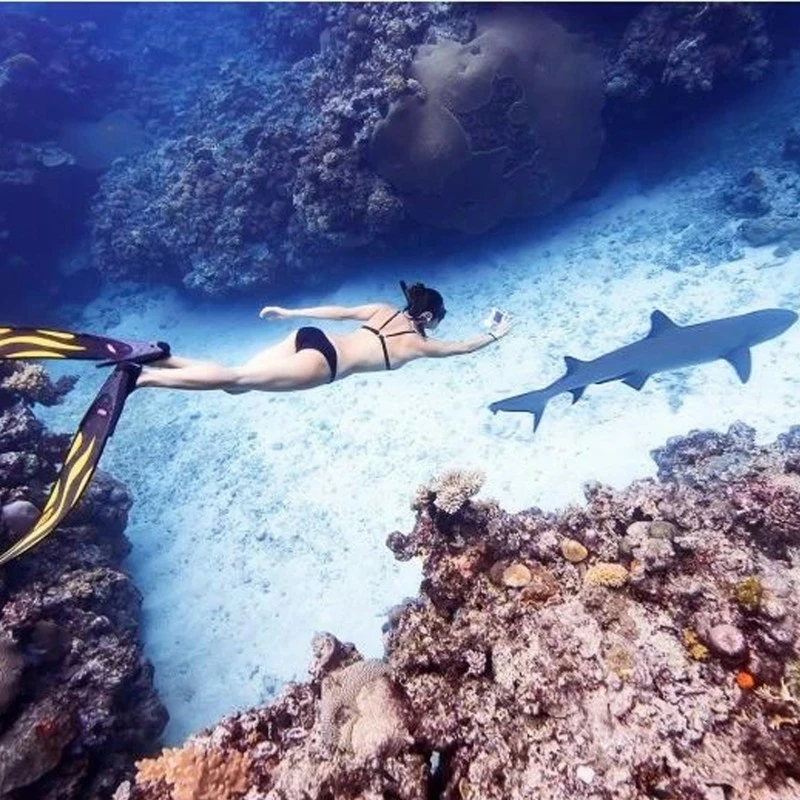 SEATOUCH 2 Pioneer 10m Caisson Pour IPHONE 6+ Ă XS Max - Divevolk â Image 2